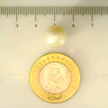 ITLGR_106921_SCALE.webp