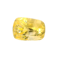 IIGJ_12879D53006_FRONT.png