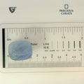 ITLGR_99024_SCALE.webp