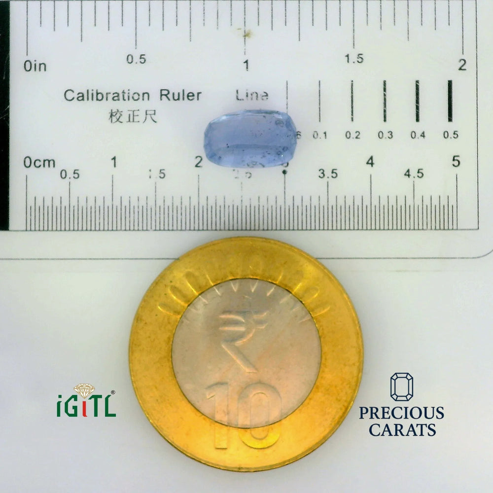 IGITL_197785_SCALE.webp