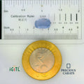 IGITL_197785_SCALE.webp