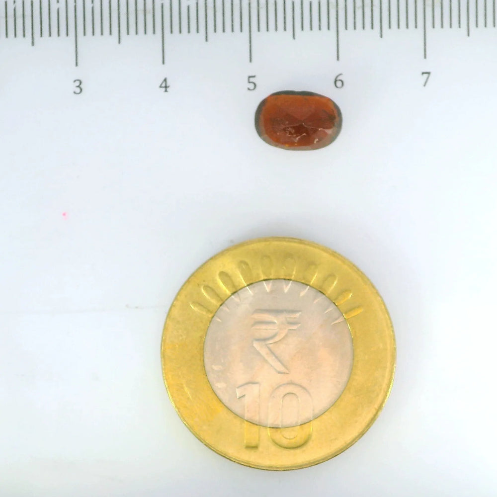 ITLGR_104152_SCALE.webp