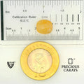 ITLGR_102334_SCALE.webp