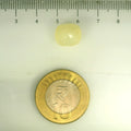 ITLGR_106782_SCALE.webp