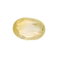 IGITL_197809_FRONT.png