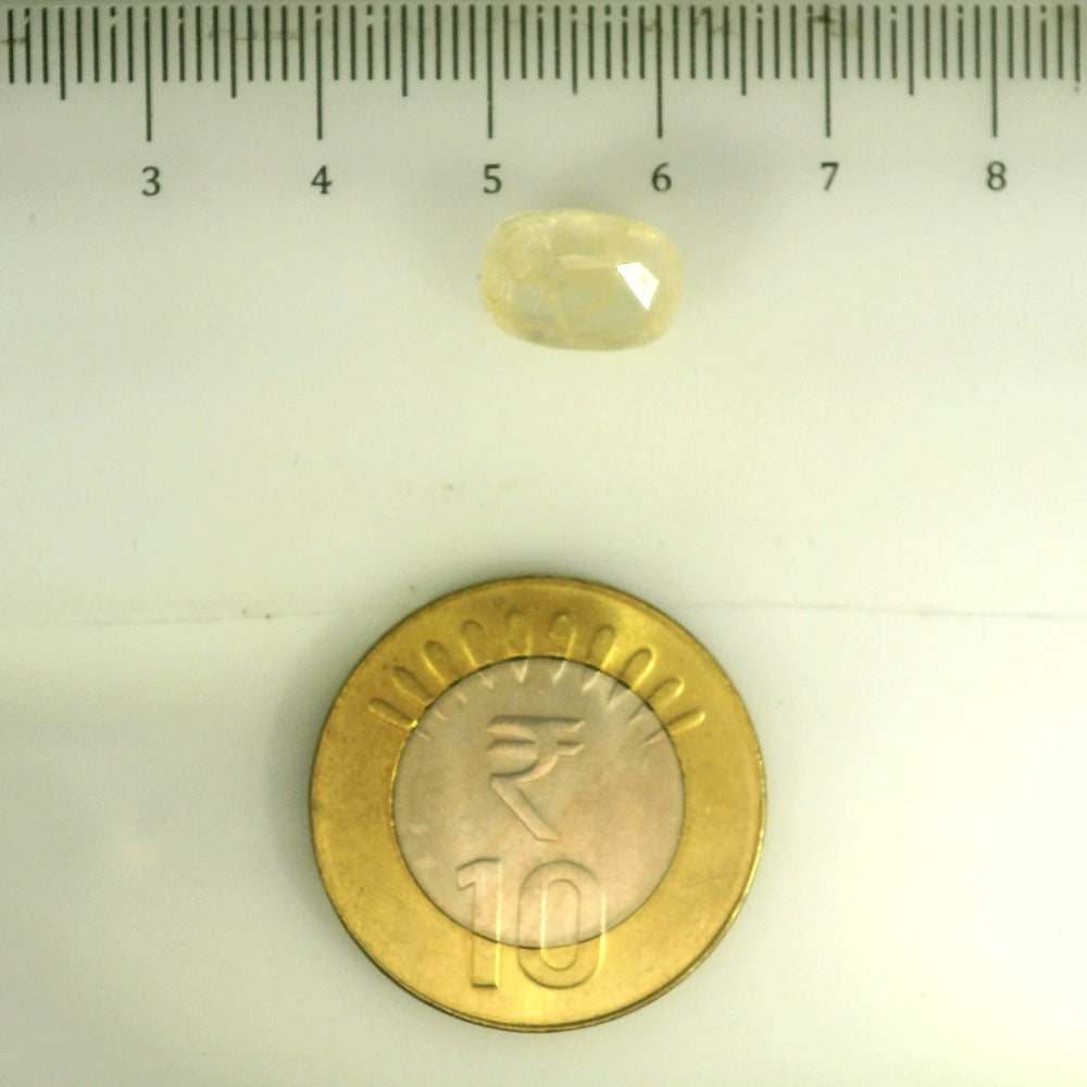 IGITL_201540_SCALE.webp