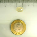 IGITL_201540_SCALE.webp