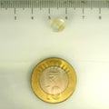 IGITL_200279_SCALE.webp
