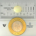 ITLGR_100522_SCALE.webp
