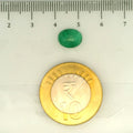 IGITL_203374_SCALE.webp
