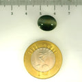 ITLGR_107049_SCALE.webp