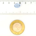 IGITL_211703_SCALE.webp
