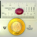 ITLGR_100297_SCALE.webp