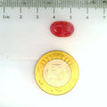ITLGR_2422_SCALE.webp