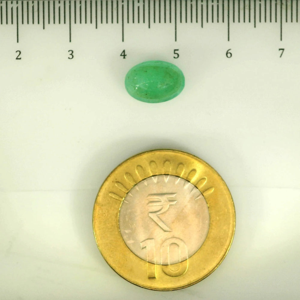 ITLGR_106867_SCALE.webp