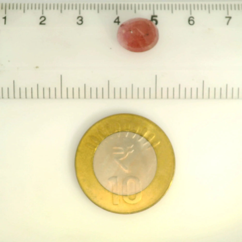 ITLGR_109888_SCALE.webp