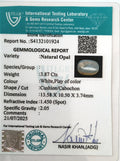 ITLGR_101924_CERTIFICATE.webp