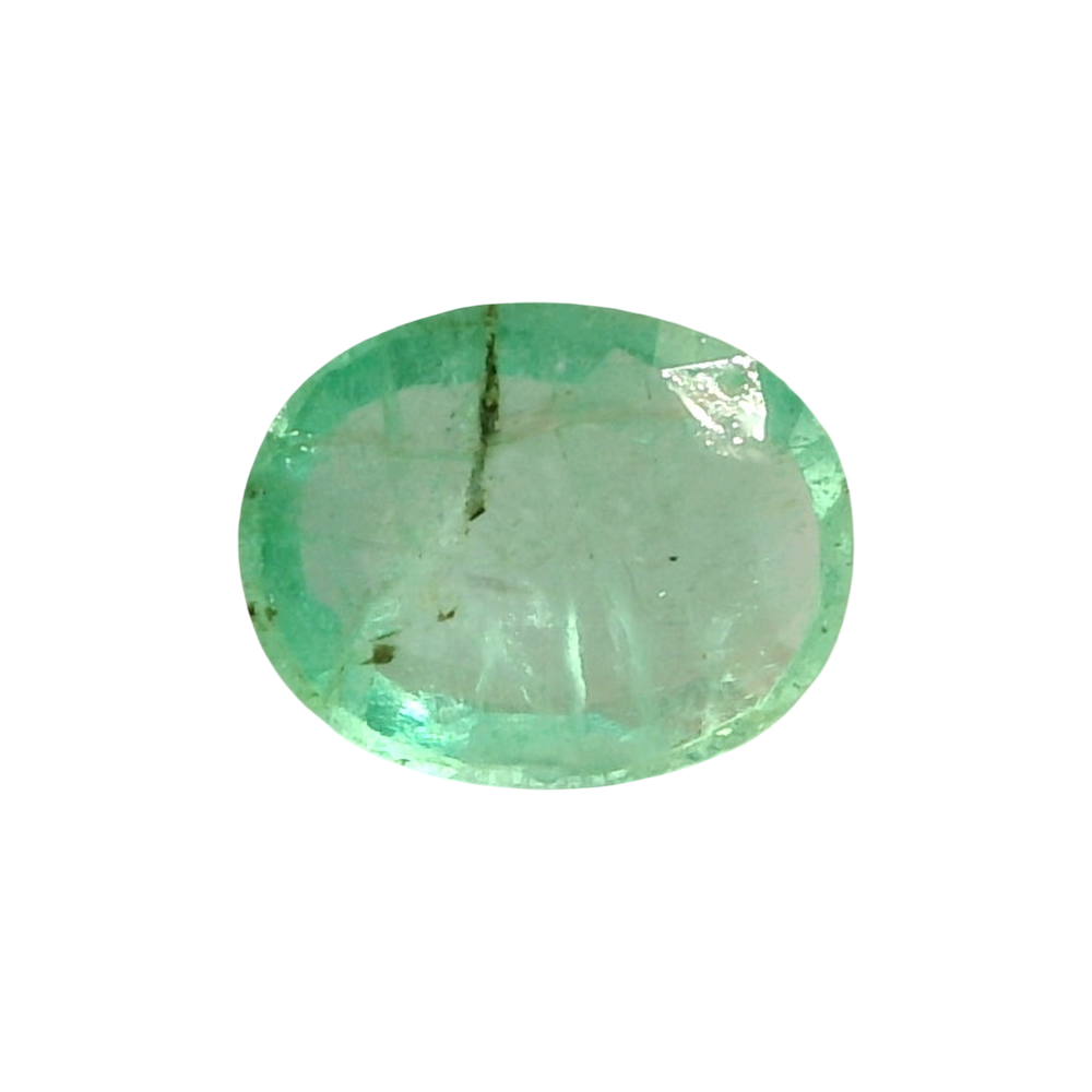 AGR_88377_FRONT.png