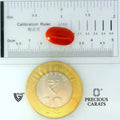 ITLGR_105267_SCALE.webp