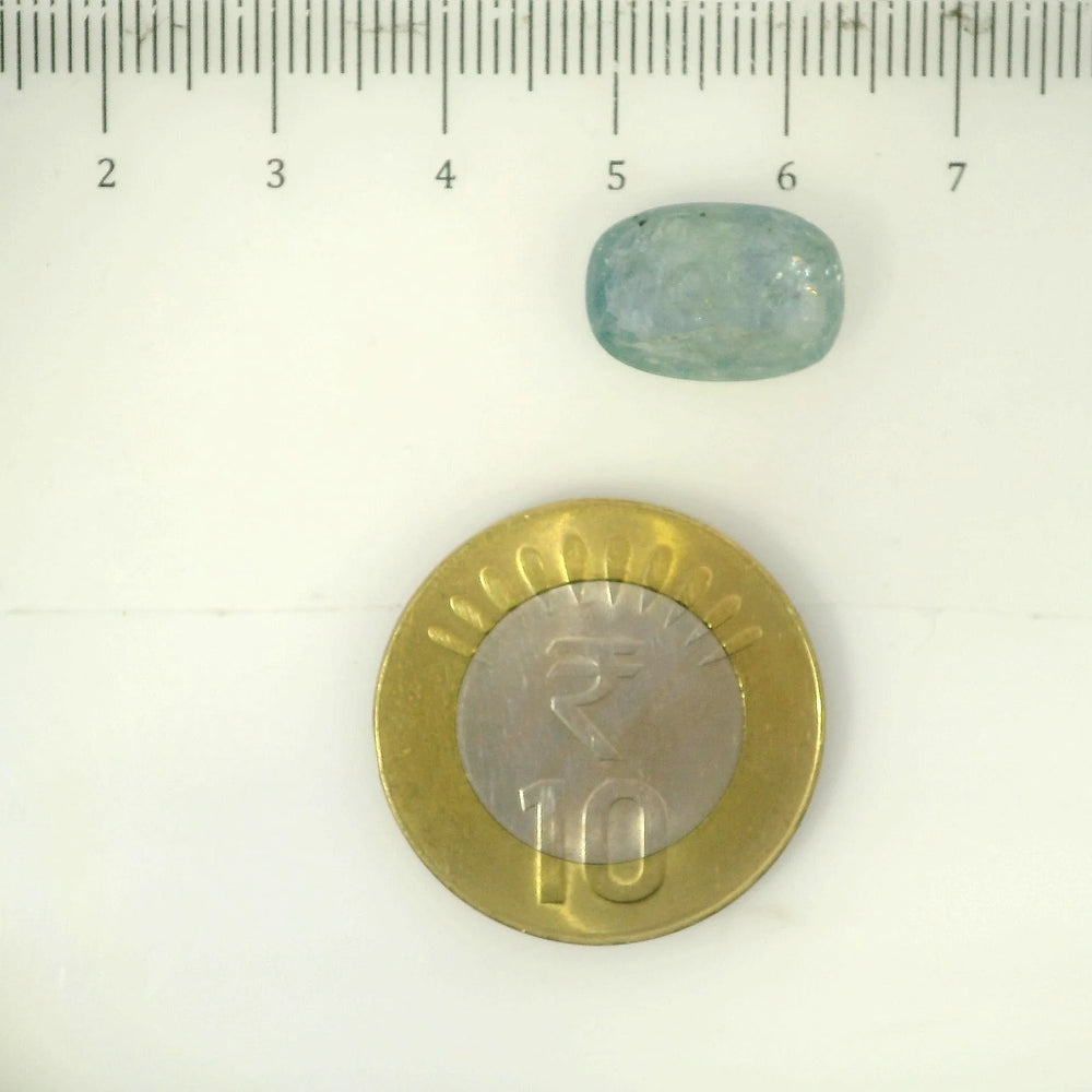 IGITL_205599_SCALE.webp