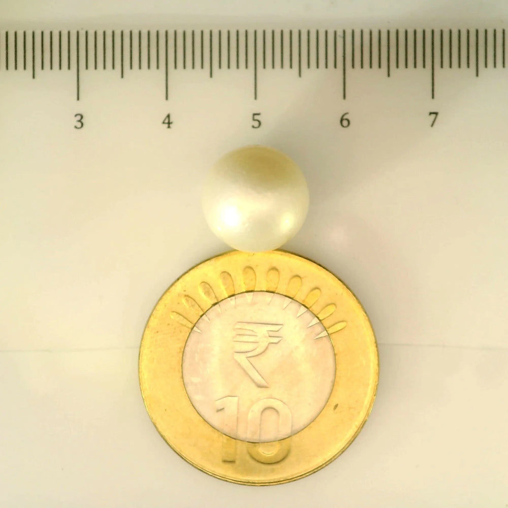 ITLGR_106908_SCALE.webp