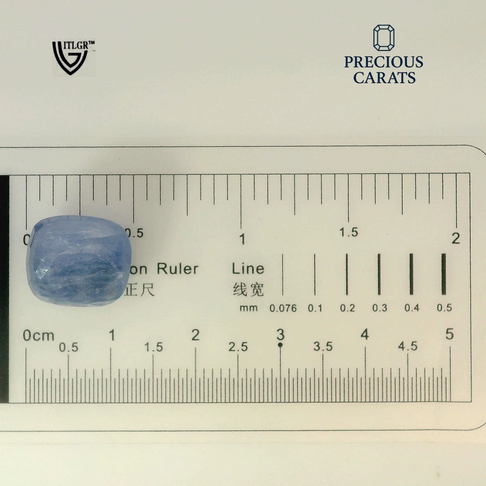 ITLGR_99029_SCALE.webp