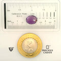 ITLGR_101641_SCALE.webp