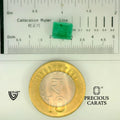 ITLGR_102215_SCALE.webp
