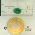 ITLGR_105160_SCALE.webp