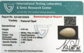 ITLGR_100559_CERTIFICATE.webp