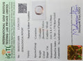 IGITL_211806_CERTIFICATE.webp