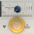 ITLGR_101032_SCALE.webp