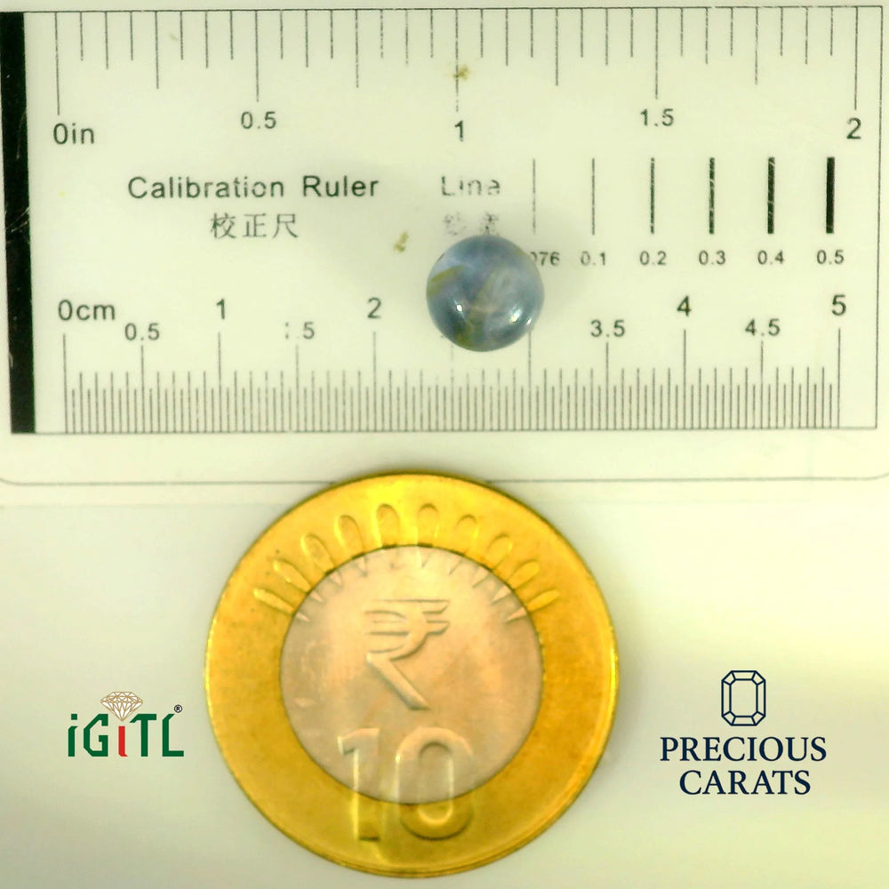 IGITL_197851_SCALE.webp