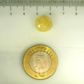 ITLGR_106769_SCALE.webp