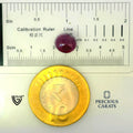ITLGR_100294_SCALE.webp