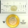 ITLGR_109983_SCALE.webp