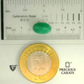 ITLGR_105212_SCALE.webp