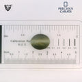 ITLGR_100581_SCALE.webp
