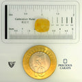 ITLGR_98971_SCALE.webp