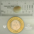 ITLGR_101887_SCALE.webp