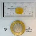 ITLGR_98880_SCALE.webp