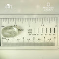 IGITL_194734_SCALE.webp