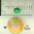ITLGR_105066_SCALE.webp