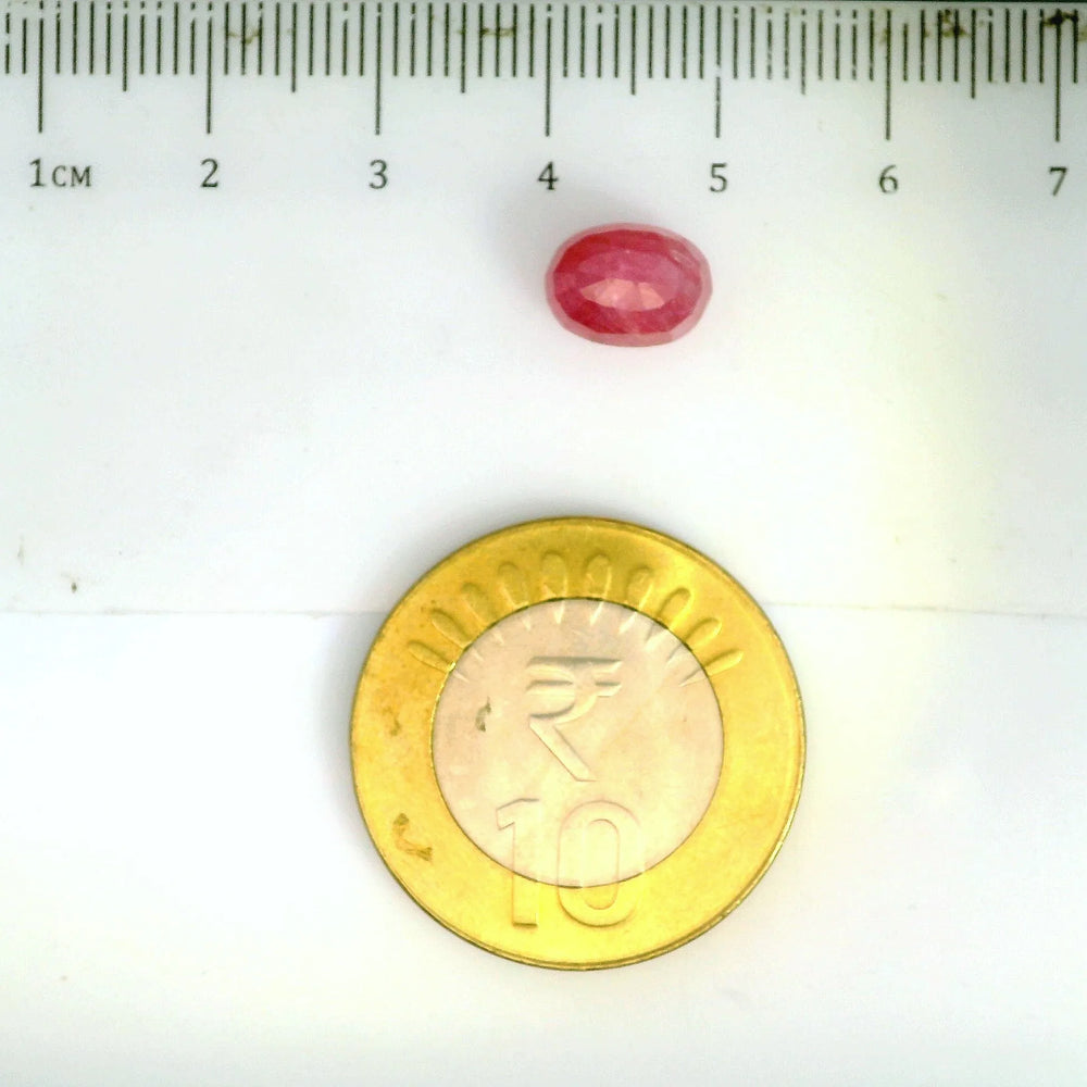 ITLGR_2430_SCALE.webp