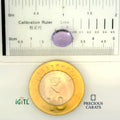 IGITL_200217_SCALE.webp