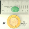 ITLGR_102094_SCALE.webp