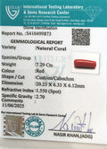 ITLGR_99873_CERTIFICATE.webp