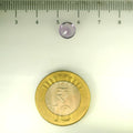 ITLGR_113109_SCALE.webp