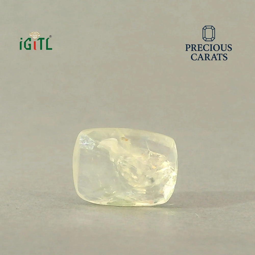 IGITL_200288_BACK.webp