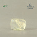 IGITL_200288_BACK.webp